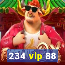 234 vip 88